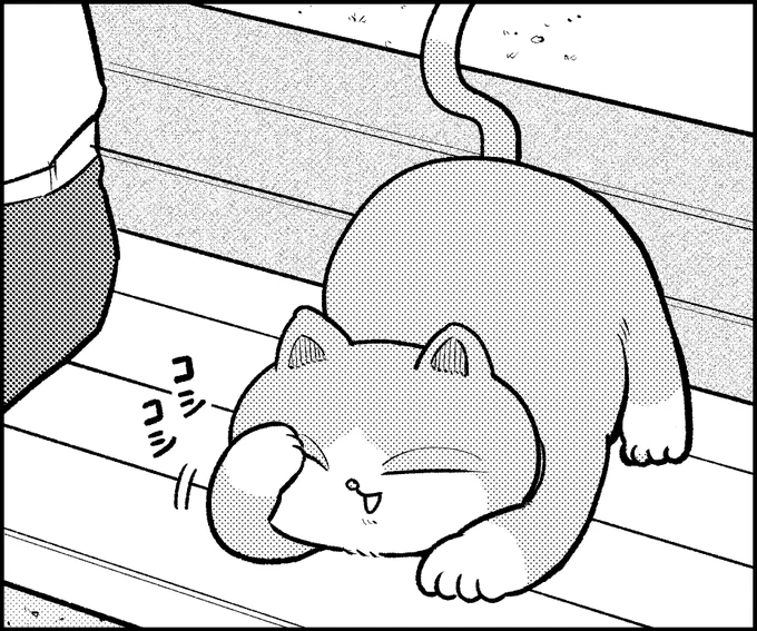 RP>路草にて「三角兄弟」第5話が更新されております。読んでみてください!
https://t.co/6dXYpG7vin 