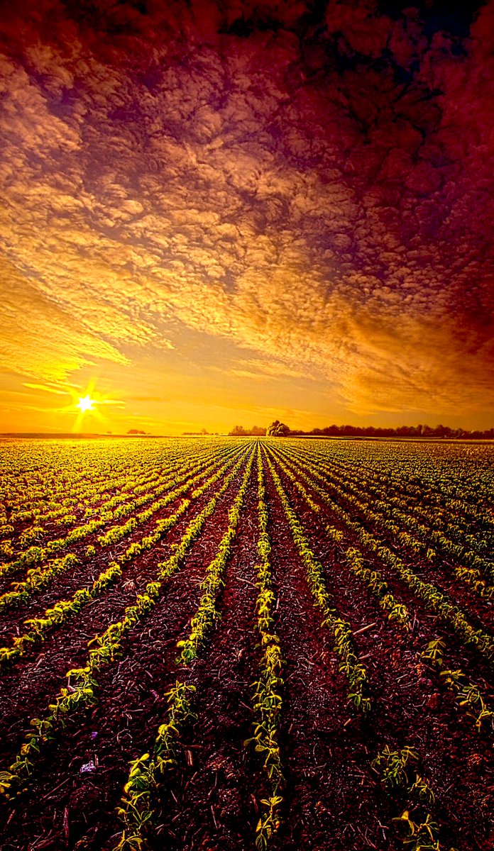 JordiHamadi's tweet photo. “As the seasons return with their quaternary beauty, as the seed sacrifices to the mystery of the harvest, we see reflected in the mirror of the physical world the spiritual spring-time when the Word of God is planted in the heart of man by the coming of God’s Messengers.” https://t.co/98cy3VTxNb