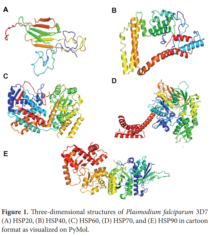 ITPS_ASP's tweet photo. 🌟New #Research: In silico evaluation of heat shock #proteins reveals an interplay with #polyamines as a survival strategy for the #Plasmodium falciparum
👥By Godlo Sesethu et al. @ufh1916
DOI: https://t.co/LrLtwjfSG3 https://t.co/4I0zpkhCok
