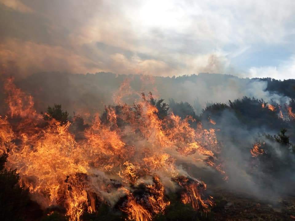 BRIF_PINO's tweet photo. Hay hombres y mujeres que han visto llamas devorar en minutos lo que la naturaleza ha tardado años en crear..
Hay hombres y mujeres que se adentran bajo un hongo de humo , llamas y calor que llegan a crear noche y ocultar el sol..
Hay hombres y mujeres que llevan grabado en👇👇 https://t.co/Y5PQ5Bg91y