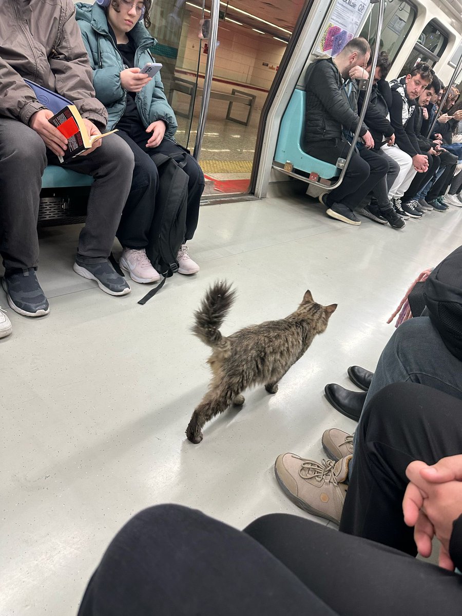 Ya sen ne yapıyorsun burda 🥹