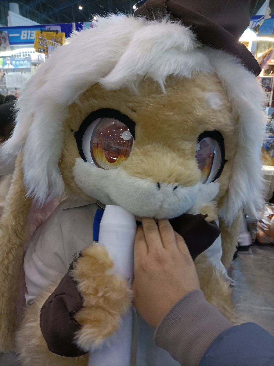 四年一度的2.29肯定要发一条推!