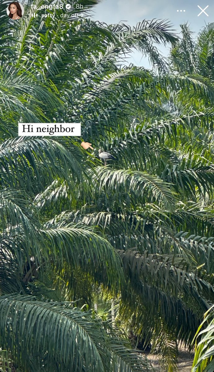 We knew exactly which neighbour she’s referring to 🫣 #อิงล็อต #englot