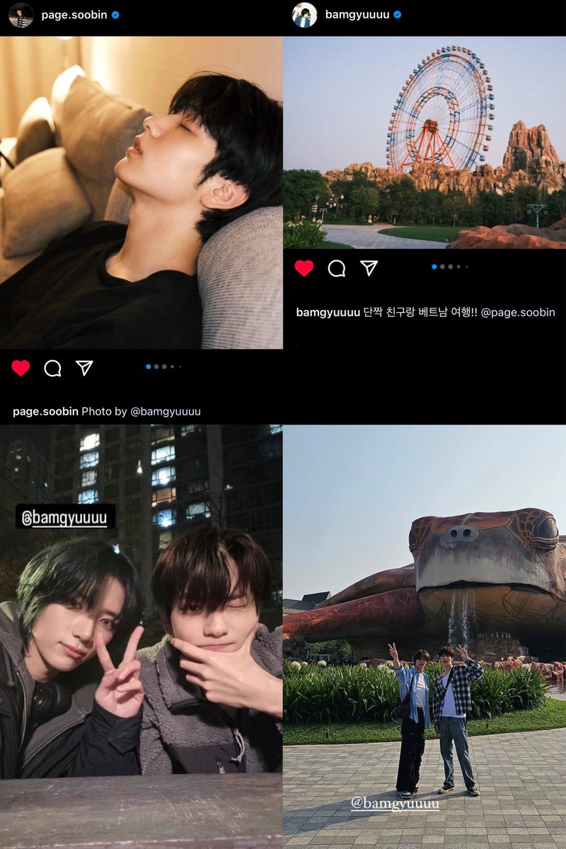 SBWH_'s tweet photo. TOP.5
대구 상견례, S&amp;B 카페
(강아지) 나라매, 럽스타그램 https://t.co/P9CmYead1J