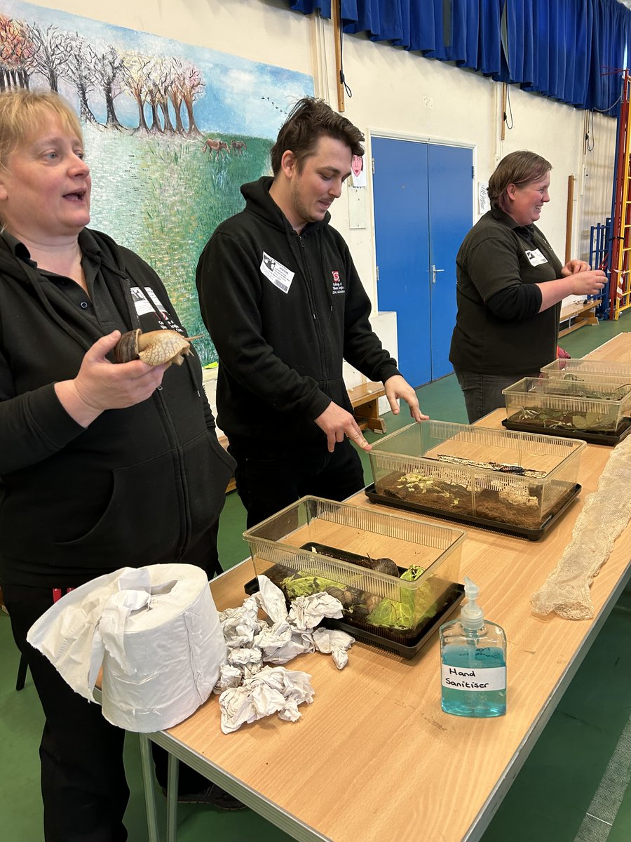 Fred Nicholson School tweet media