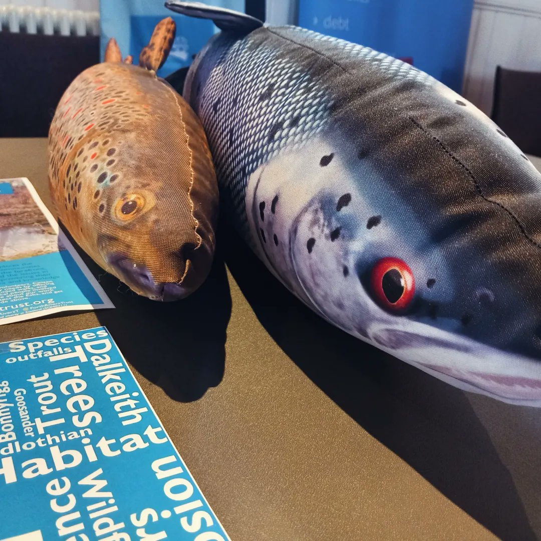 ForthRiversT's tweet photo. Our Citizen Esk project is at Midlothian volunteer fair today. Visit us at Saint John's & Kings Park Church between 10-2.30, speak to Ross + Eli and #EskQuestions, find out more about volunteering to support your local river + say hello to our trout mascots! #loveyourlocalriver https://t.co/tb3JMJs9hl