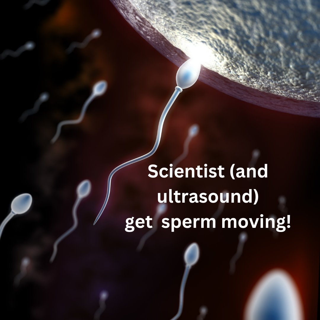New hopes for #infertility #patients. #Asthenozoospermia is one of the most common reasons for male infertility. And now, scientists from Monash University, Australia, have managed to get that sperm moving! Read more about it in @PET_BioNews bit.ly/3wK9k3W