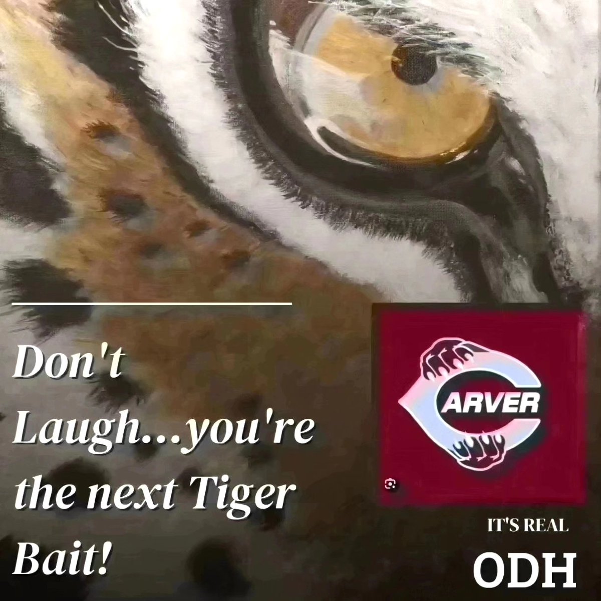 On Saturday, 3/2 at 3pm, the Tigers travel to Savannah to face the Sandy Creek Patriots in the Final 4 round of the GHSA State Tournament. 🍿Ready #callingalltigerseverywhere🐅 #YearoftheTiger #Tigerbait🐯 #ODH