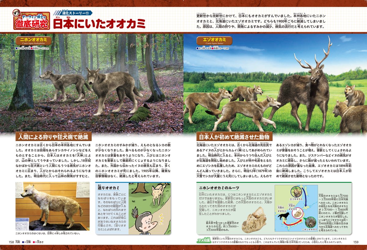 原生動物の観察と実験法