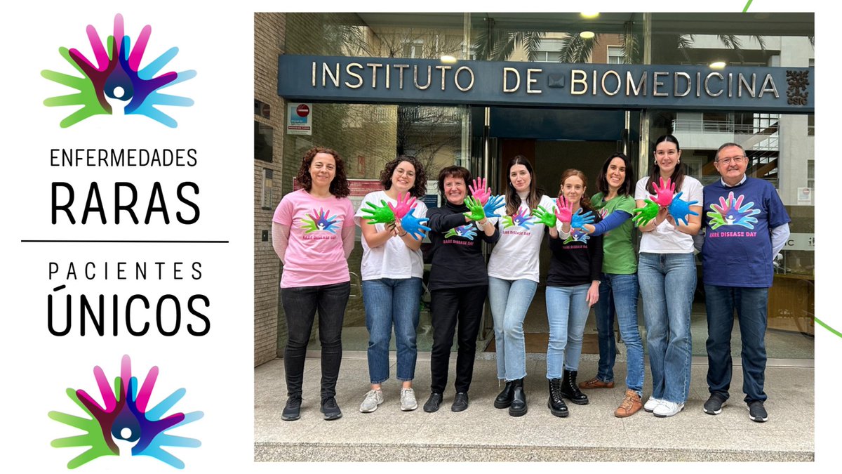 sanz_lab's tweet photo. La USN del @IBV_CSIC y @CIBERER se suma al #DiaMundialdelasEnfermedadesRaras investigando #LaforaDisease , una enfermedad rara. Recordamos la necesidad de la investigación en la mejora del diagnóstico y terapias, así como la importancia de las asociaciones 💪🏻💚
#RareDiseaseDay https://t.co/FOUeCYE4Jh
