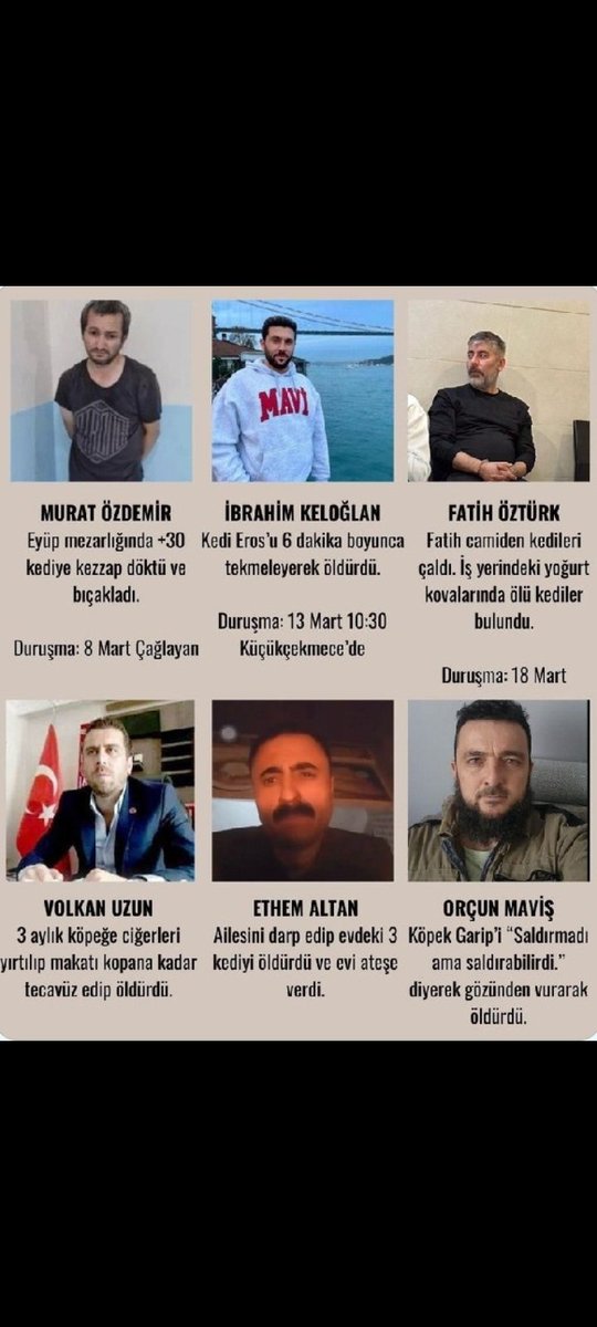 Olay sadece “alt tarafı bir hayvan” değil işte .. (bu sözden de acayip nefret ederim) 
katiller , bütün canlılar için tehlikelidir.. 
bunun hayvanı, çocuğu, kadını hatta erkeği bile yok.. 

#ibrahimkeloğlantutuklansın 
#muratözdemirtutuklansin 
#fatihöztürktutuklansın