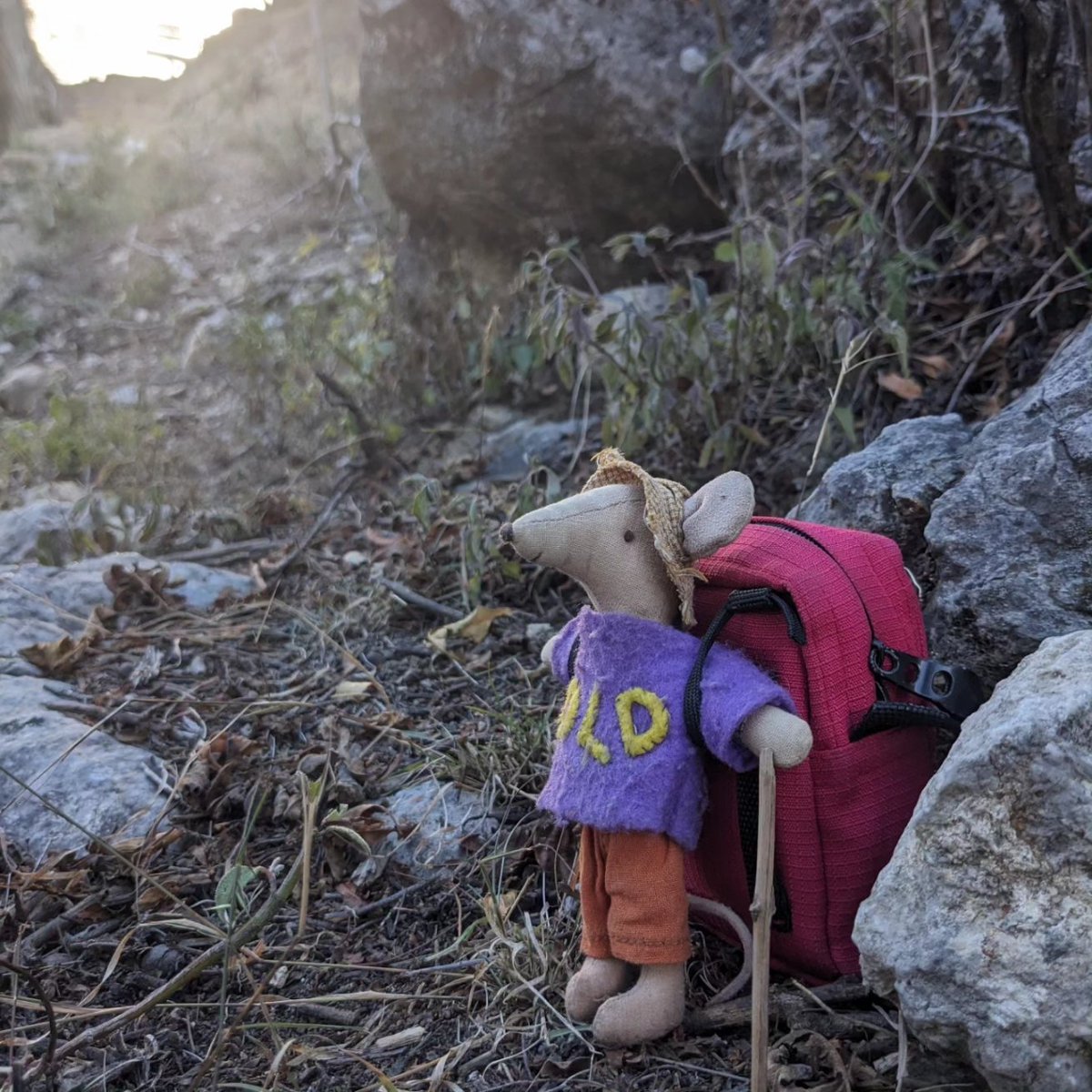 TheDLDMouse's tweet photo. I'm off on a hike with my big bag and stick. My big bag is like my hiking toolkit with everything I need in it. One thing I have in my DLD toolkit are some posters made by @MHResTrain school. They are so clear in how support children with DLD at home and school 💜💛 #devlandis https://t.co/ppsF5YluGR