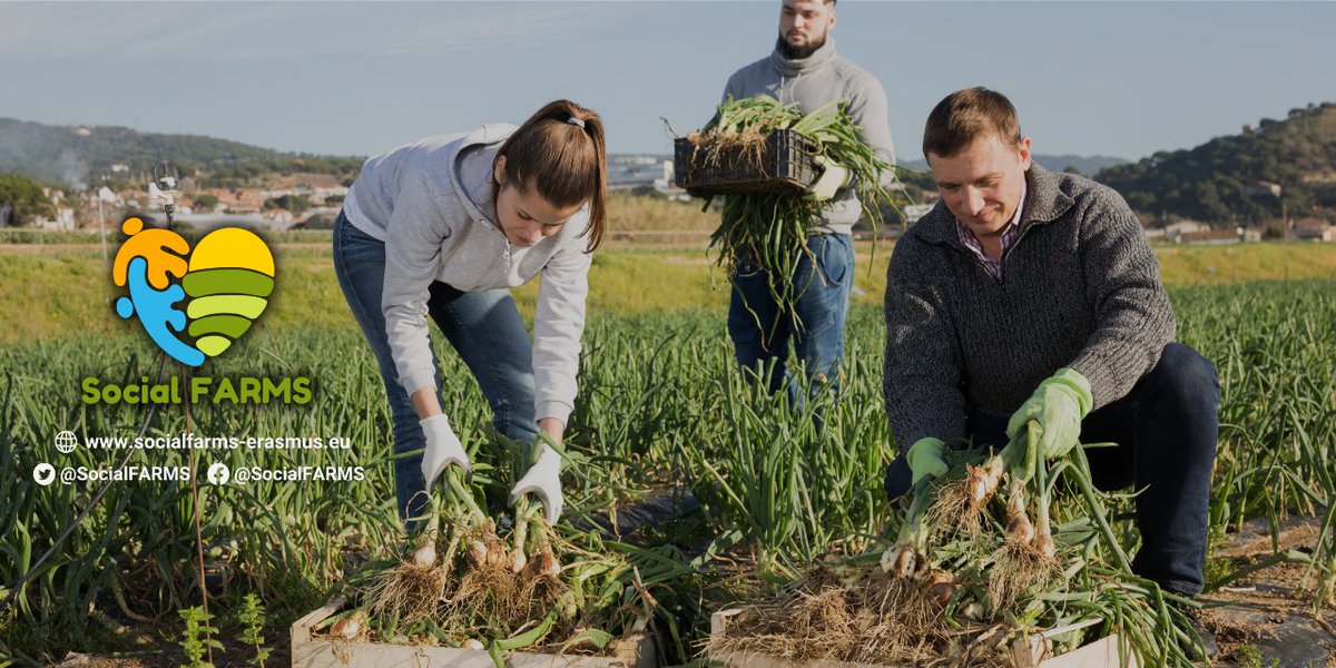 SocialFARMS (@socialfarms) on Twitter photo 👀Uncover the inspiring stories behind <a href="/SocialFARMS/">SocialFARMS</a> project in the insightful case studies! 🧑🌾
🌟 Explore real-life examples showcasing the profound impact of #SocialFarming on individuals and communities.
🌱Dive into the stories → learning.socialfarms-erasmus.eu/case-studies/ 👀Uncover the inspiring stories behind <a href="/SocialFARMS/">SocialFARMS</a> project in the insightful case studies! 🧑🌾
🌟 Explore real-life examples showcasing the profound impact of #SocialFarming on individuals and communities.
🌱Dive into the stories → learning.socialfarms-erasmus.eu/case-studies/