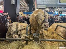 rvincent1407's tweet photo. Ce jeudi dans #UnjourUndoc sur @M6 , « @Salondelagri  : la fête malgré tout ? » Un reportage entre espoirs et obstacles à surmonter signé @deVellisOlivier @AdeleLTR @EBreil @perine_beauge. Red Chef Rémy Vincent pour @Stpprod_pa. C'est à 15h ! https://t.co/RPNjH5rnCB