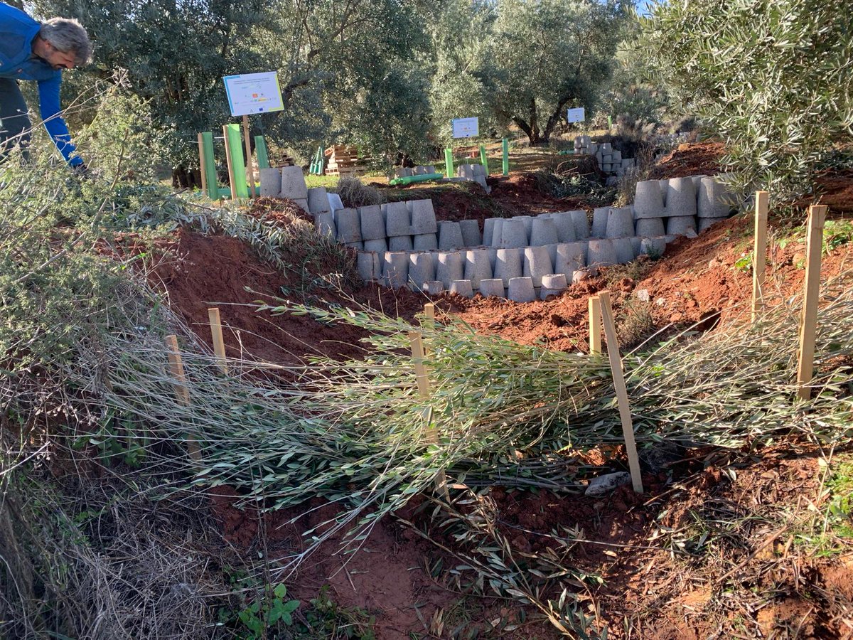 HIDROLIVAR's tweet photo. Enfoque #holístico, GO @HIDROLIVAR  implementando soluciones innovadoras como #albarradas modulares, revegetación estratégica y tecnología digital para el análisis del #paisaje 🏞. Combaten la #erosión, promueven #biodiversidad, fortalecen #paisaje y servicios #agroecosistémicos. https://t.co/dfP2BEkS4v