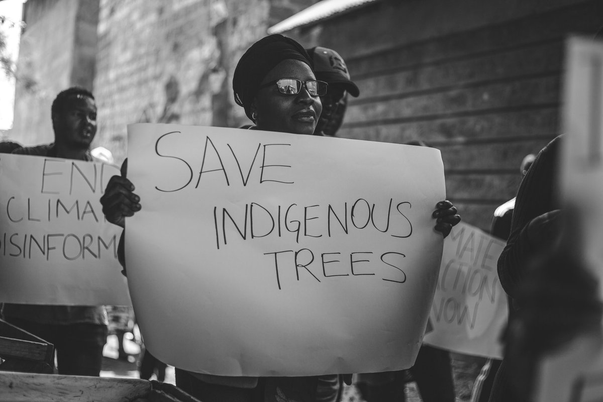 violet_firetess's tweet photo. We can prioritize indigenous tree species that are more resilient to changing climate conditions. This involves research to understand how different species respond to temperature changes, drought, and other climate-related stresses.
#ReligiousMassacre
#EndClimateDisinformation https://t.co/p4ICM4XxwS