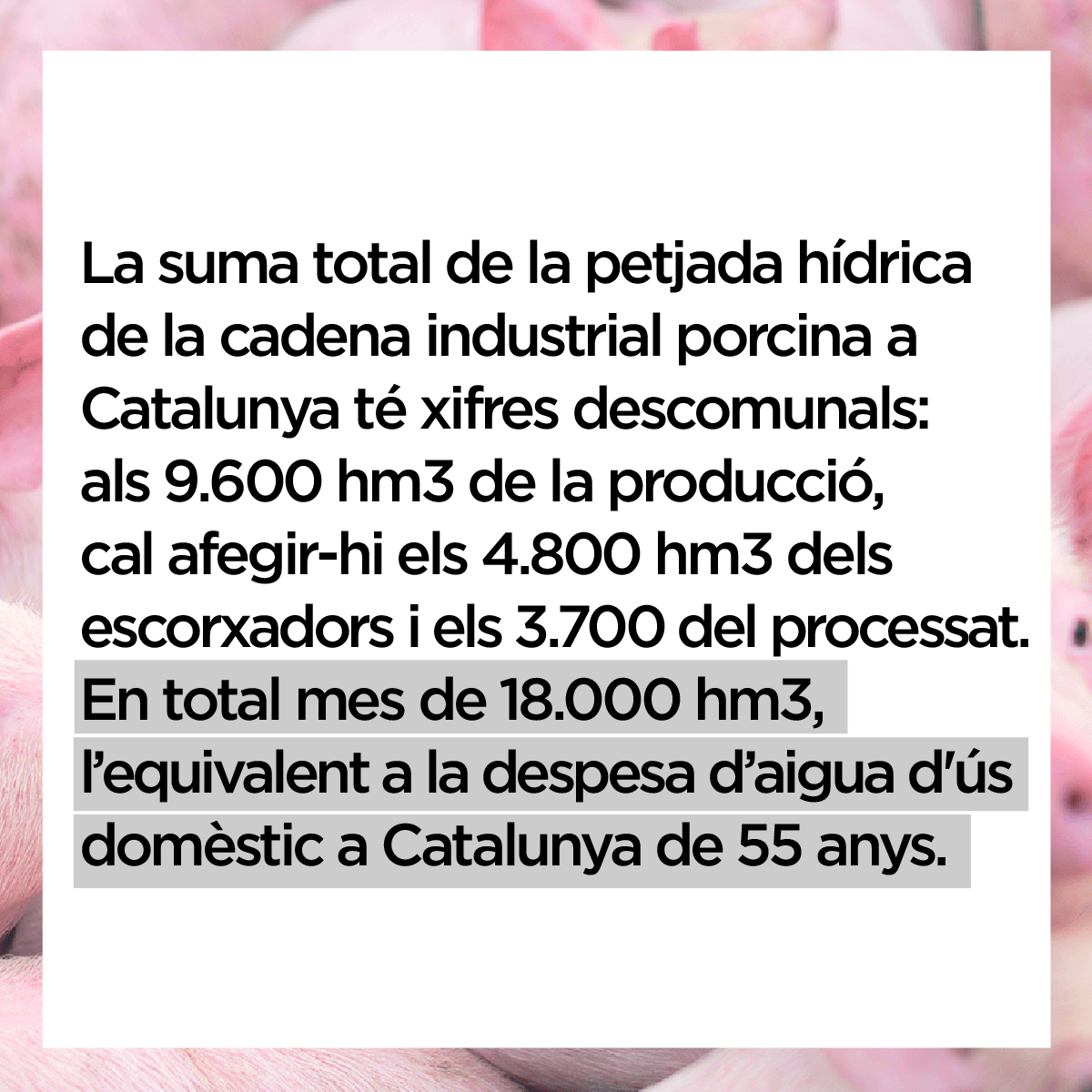 JusticiaAliment's tweet photo. I ens fan tancar l'aixeta... https://t.co/VLpU5WfC5t
