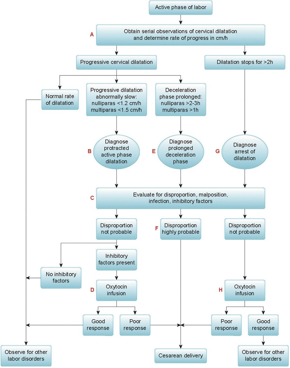 AJOG Expert Review in Labor:  The active phase of labor - Algorithm for evidence-based management of the active phase of labor ow.ly/bOLh50NjQuj