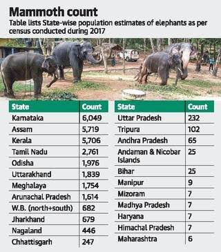 2017ની ગણતરી મુજબ, દેશમાં અંદાજિત 30,000 હાથી છે, એક વખતે, દેશમાં 10 લાખ હાથી હતા

હાલ સૌથી શકિતશાળી પ્રાણીને પણ અસ્તિત્વનો ખતરો છે, આ એ દર્શાવે છે કે, માનવીની બુદ્ધિએ કોઈને હખે રહેવા નથી દીધા

શિકાર, જંગલો કાપવા કે જમીન પચાવી એ મુખ્ય કારણો છે પણ તેમાં કોઈ સુધાર દેખાતો નથી....