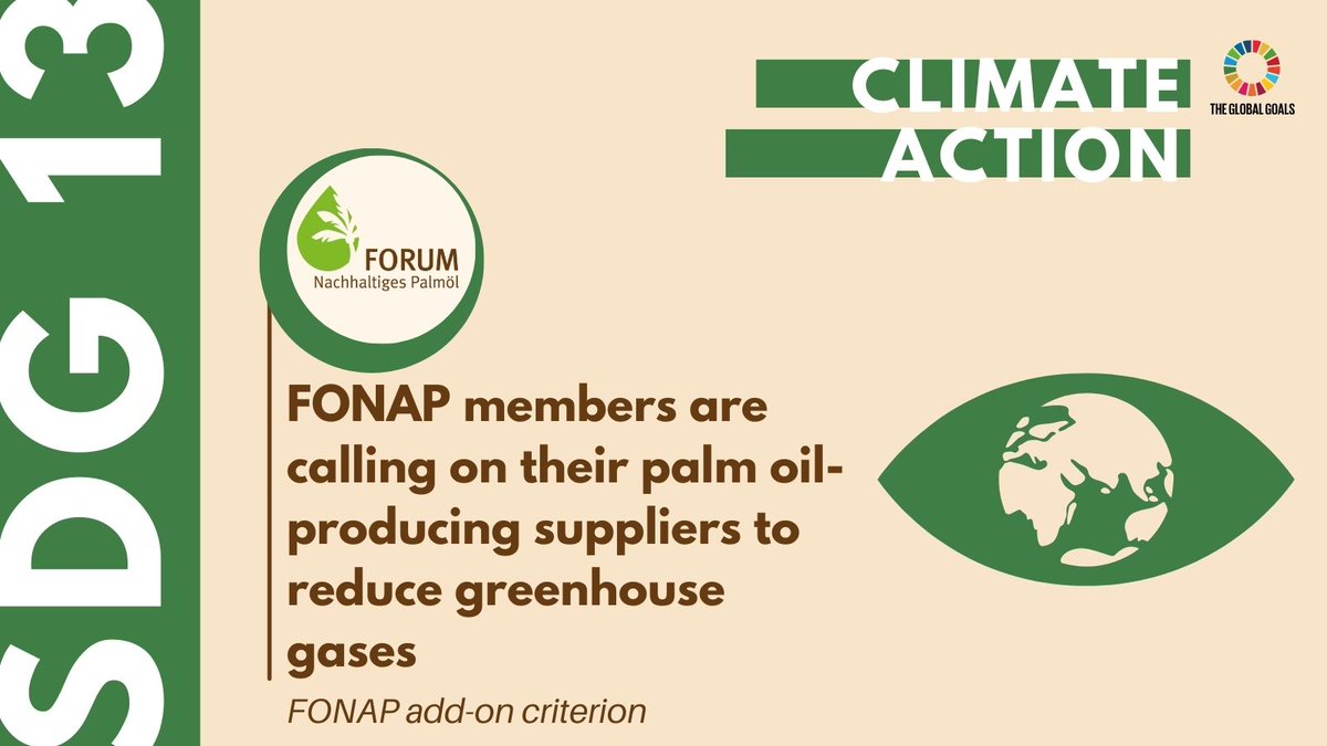 Today's focus: #SDG13: Climate action.

#FONAP members are committed to reducing greenhouse gas emissions and improving certification systems in palm oil production.

Learn more👉forumpalmoel.org/en/voluntary-c…