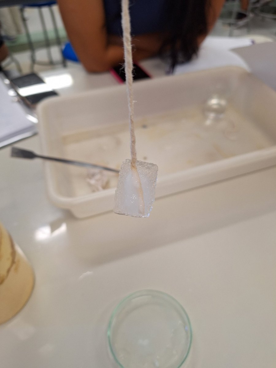 Alfredo Mateus 🧪⌬ tweet media