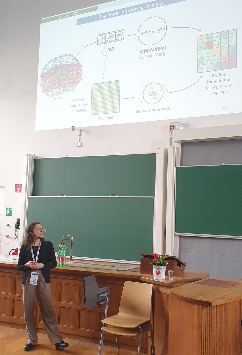In her talk, Elena Betti shows us how she took on the incredible challenge to model the light harvesting complex II with the help of ML #virapid2024