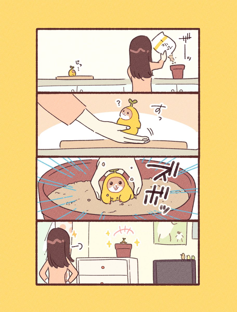 (2/3) 