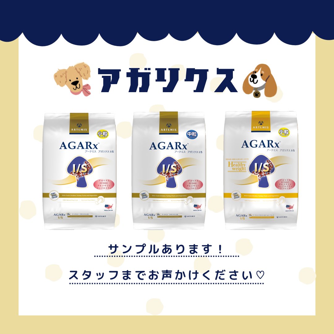 amigo_A40's tweet photo. 免疫力を高め自己治癒力を高める💪🏻⋆*
体内の老廃物を吸着排出✨️
乳酸菌で腸���らもキレイに💕
おすすめです！サンプルあります！
#犬フード #アガリクス #ドッグフード #免疫力 #乳酸菌 #山口県 #周南市 #ペットショップ #アミーゴ https://t.co/QFVZpCwXpB