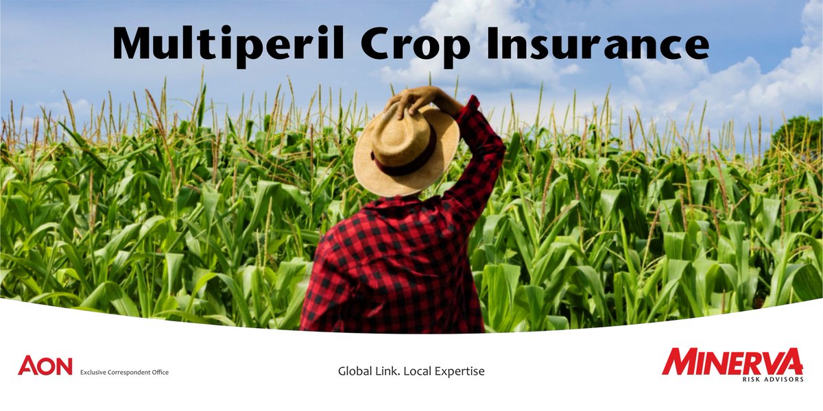 Multiperil Crop Insurance (MPCI) protects your crop against a variety of risks as a farmer, such as transit hazards, pesticides sprayed by other farms, wandering domestic animals and heavy rains. Contact our agri-insurance specialists right now.

#farmer
#agriinsurance
