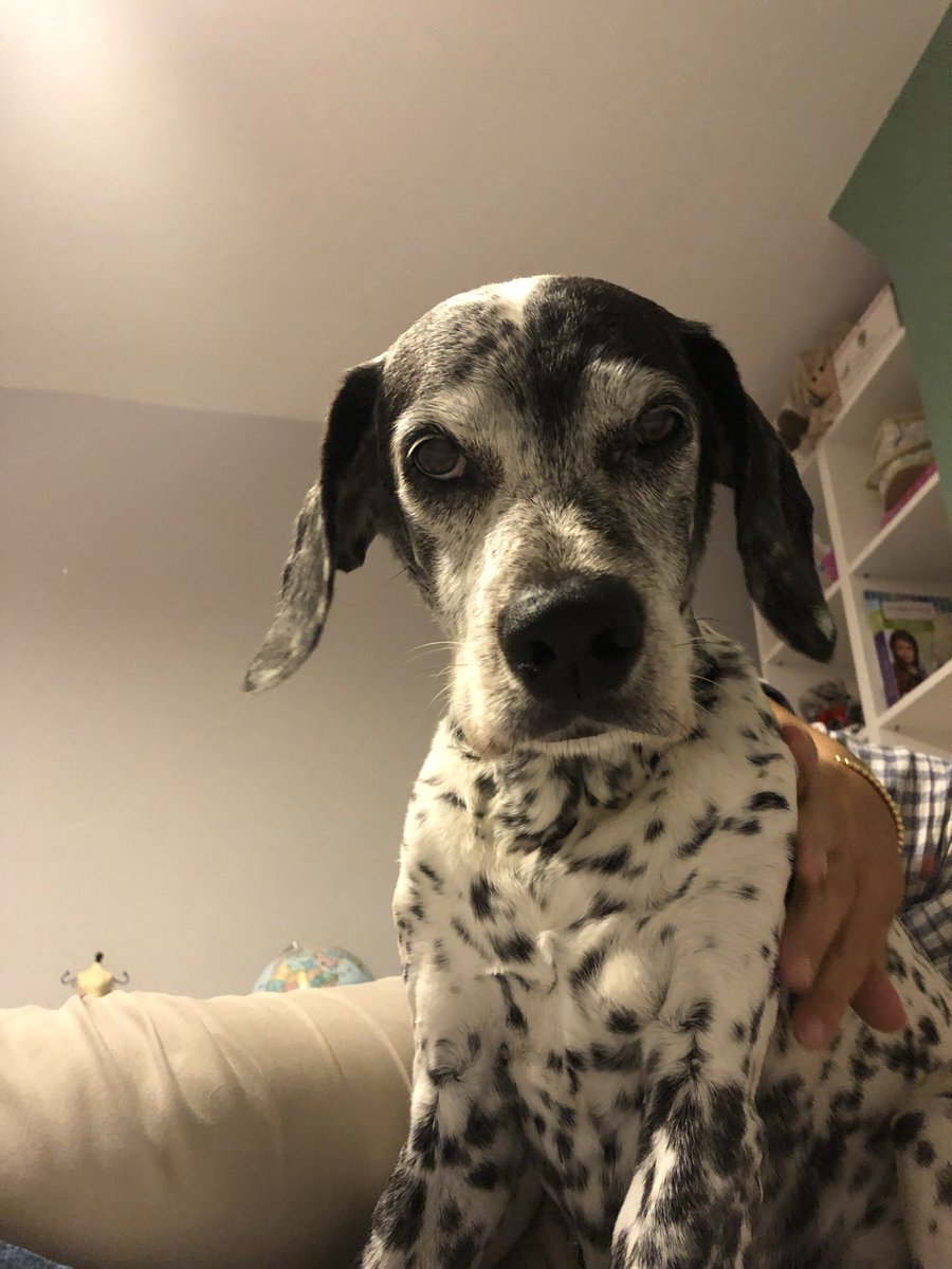 Education, education, education tweet media