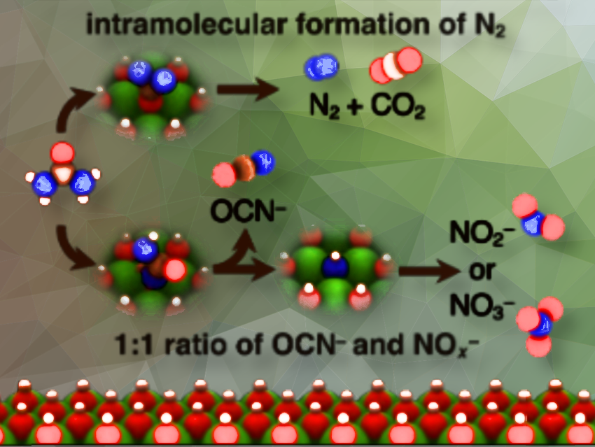ChemistryViews's tweet photo. Behind the Science: Exploring Urea Oxidation
Incomplete understanding of urea oxidation hinders catalyst improvement for sustainable treatment of urea pollution, impacting applications such as dialysis and water reclamation
https://t.co/rLXU1xicda https://t.co/DyBRwrSqDw