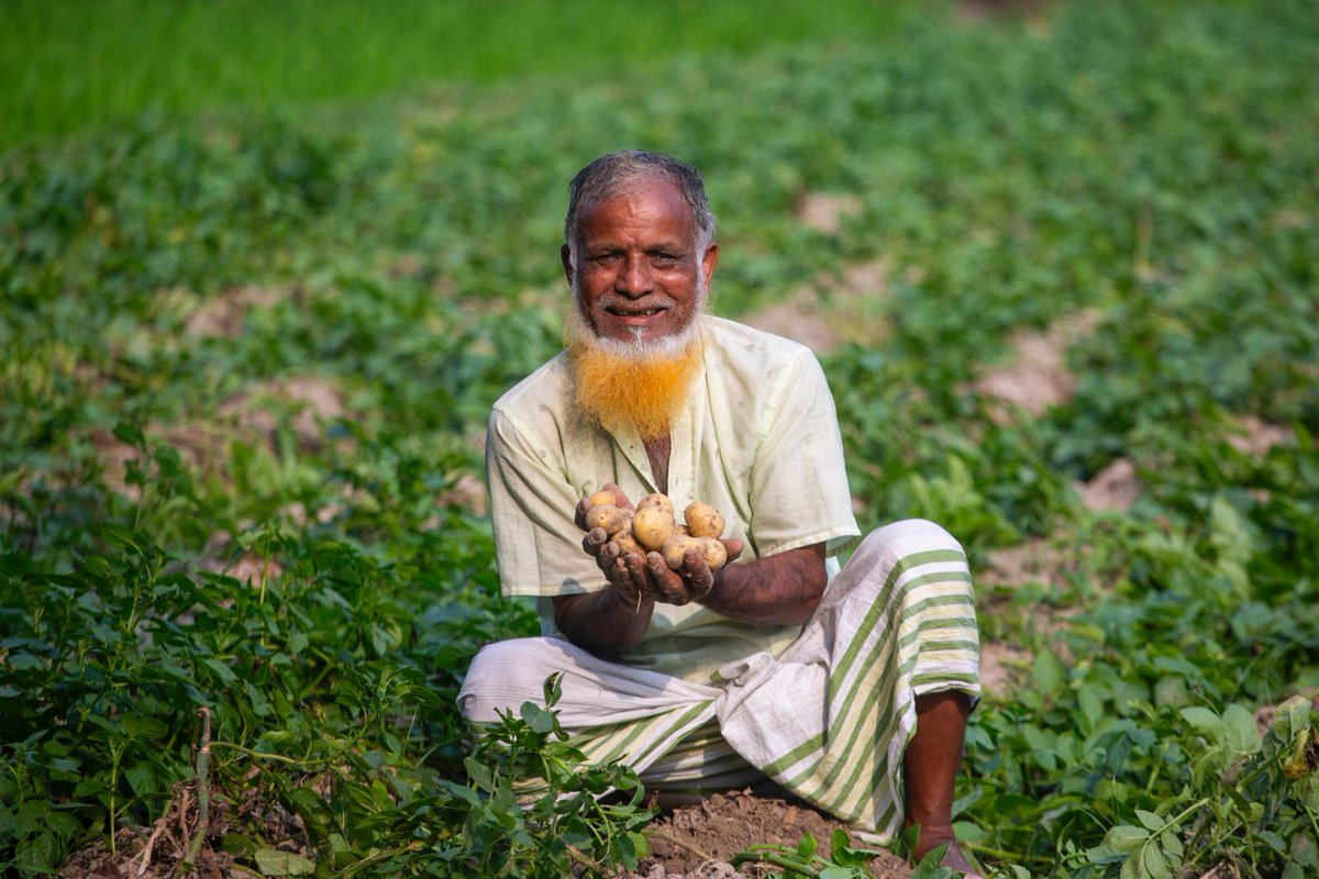 C_SUCSeS's tweet image. The #CSUCSeS project works to shift farmers from traditional farming practices to utilizing climate-smart agricultural technologies. Now, farmers no longer need to till their land three to four times. They can produce a quarter or more of their usual yield from just one tillage.