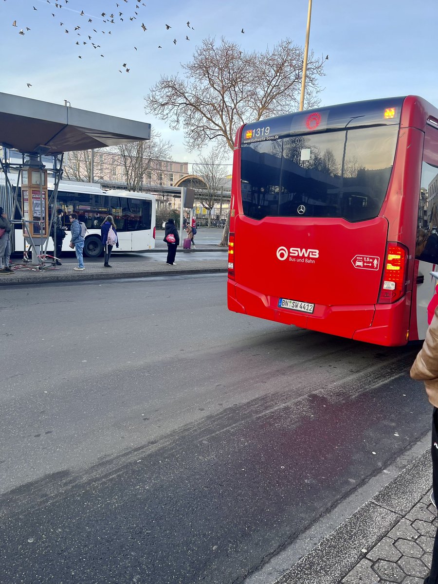 Johanna Schäfer tweet media