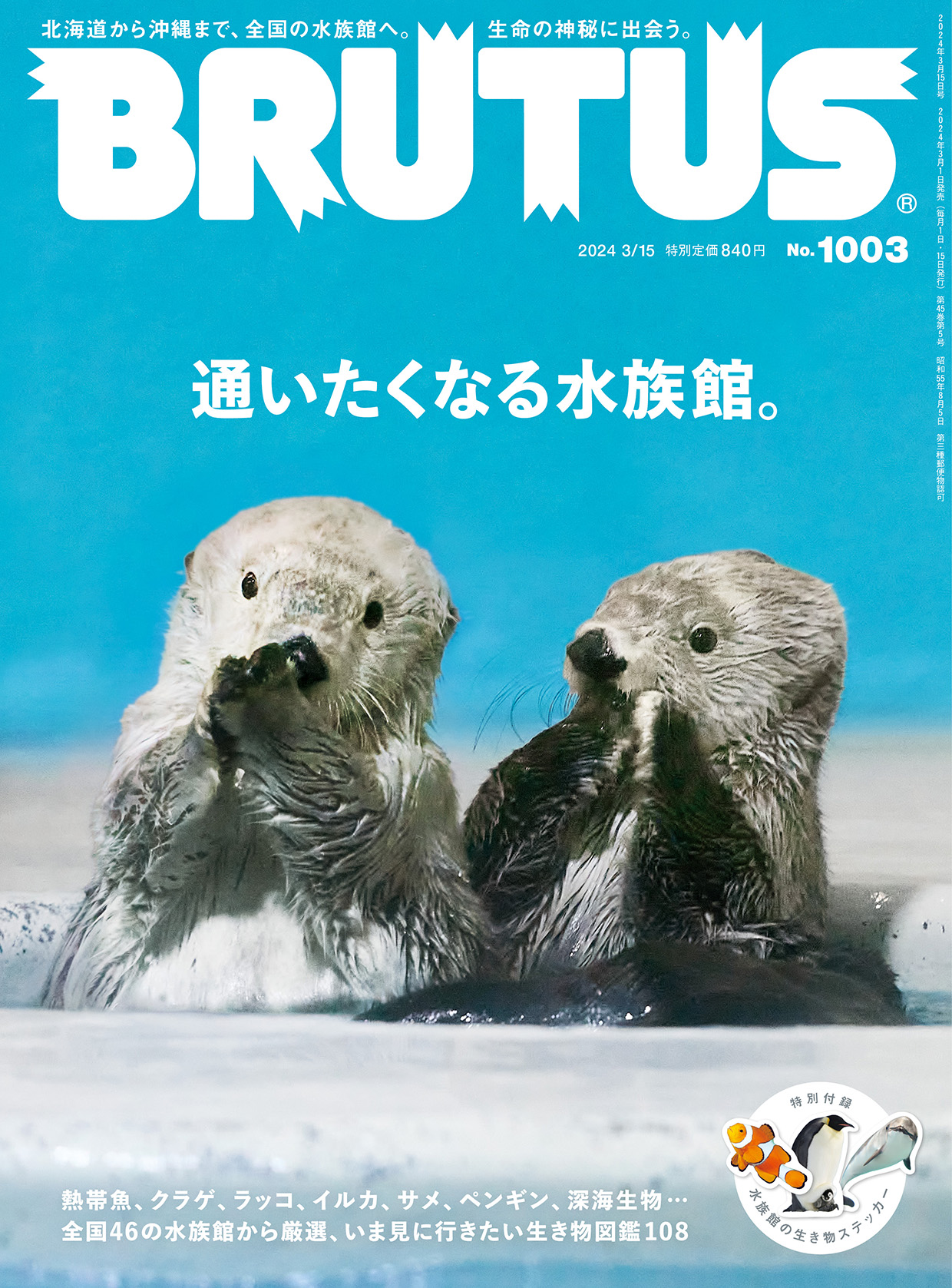 ラッコメモリアルBOOK （ラッコのメイちゃん、ラッコのキラちゃん） Amazon.co.jp: 鳥羽水族館 ラッコのメイとキラ 写真集 ラッコ