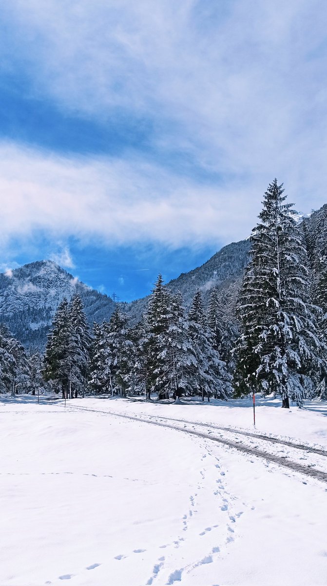 Winter paradise in German Alps 💙❄️