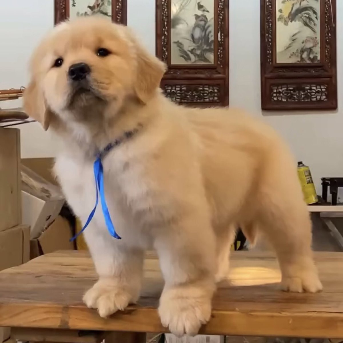 พี่แกร้บมาส่งชาเยนรึยังน้อ