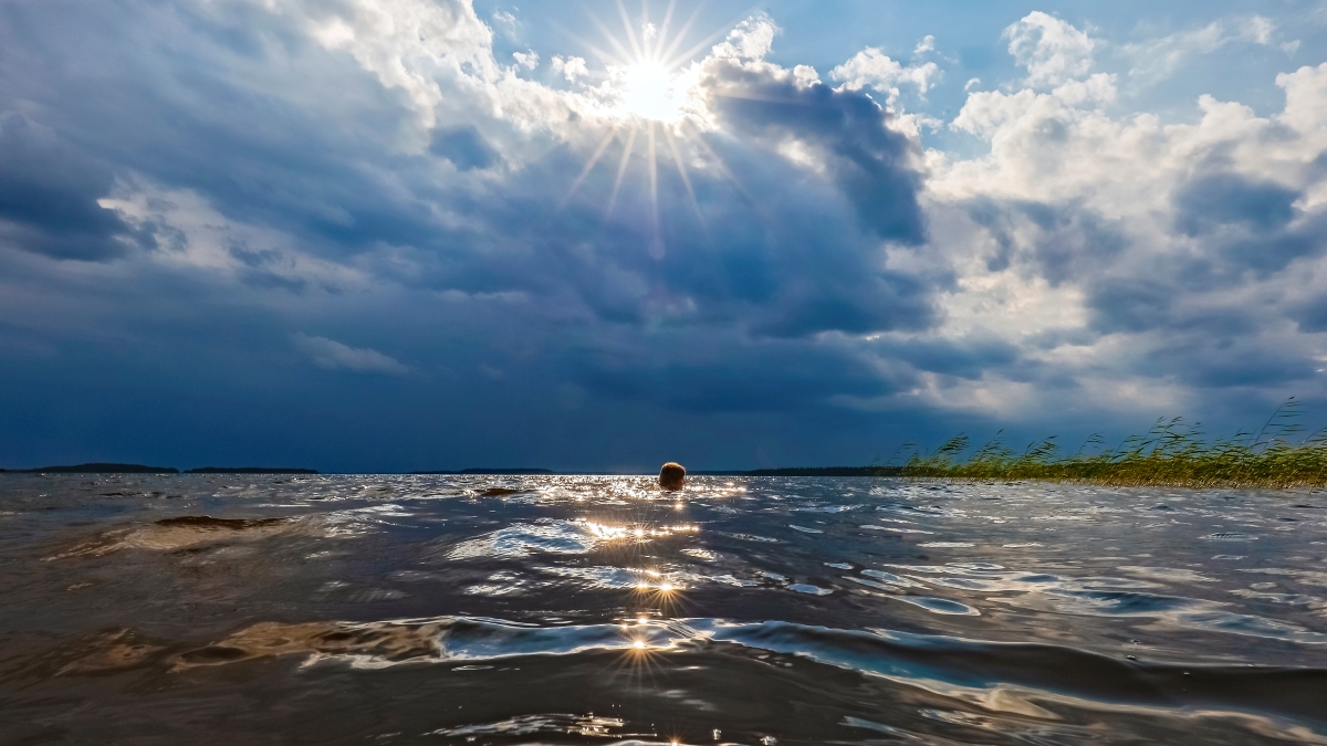 Tiesitkö, että luonnossa liikkuminen on yhteydessä mielen hyvinvointiin? 🌞 #LiikuntaJaTiede-lehdessä tutkijat selvittivät luonnossa vietetyn ajan yhteyttä positiiviseen mielenterveyteen tarkemmin. Lue lisää (avoin pdf-artikkeli)! #luonto #mielenterveys
➡️ lts.fi/media/lts_vert…