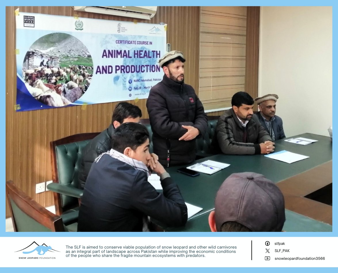 Our community-based conservation efforts are underway! 30 individuals from Chitral, GB & AJK are participating in the training (Feb 26-Mar 09, 2024) at NARC, Islamabad. They will be equipped with the skills to vaccinate livestock, aiding in reduction of human-wildlife conflict.