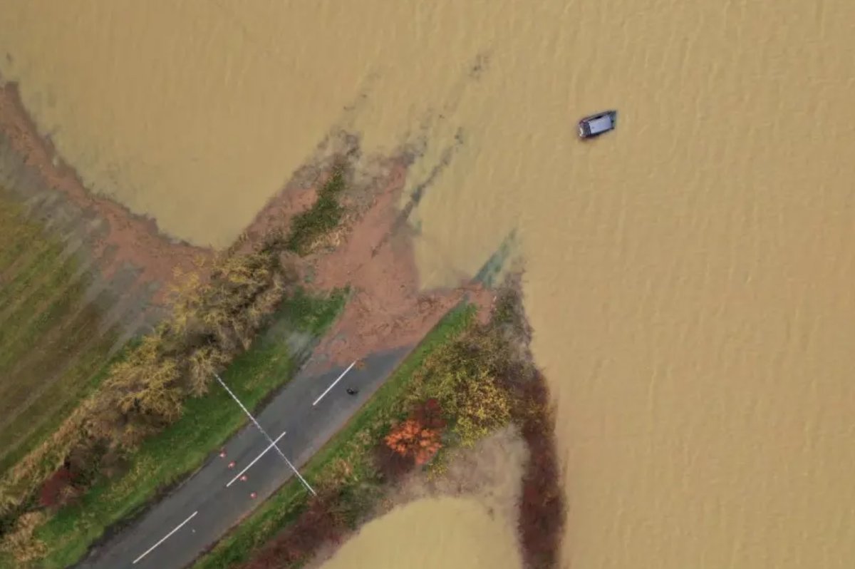 SearchRapusia's tweet photo. Absolutely captivated by the insights from this article on the risks climate change poses to our terrestrial ecosystems 🌍💔. 🌱🤝.   

#ClimateAction #ProtectOurPlanet #EcoWarrior 

Read more here: https://t.co/EVNU7eKMq4 https://t.co/GN4i6ReuRt