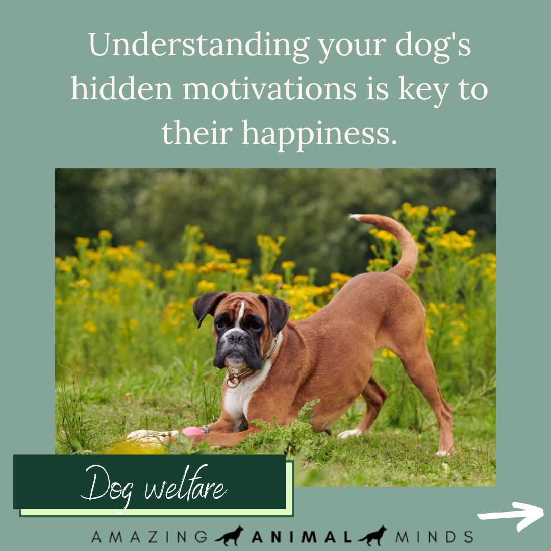 Else Verbeek tweet media