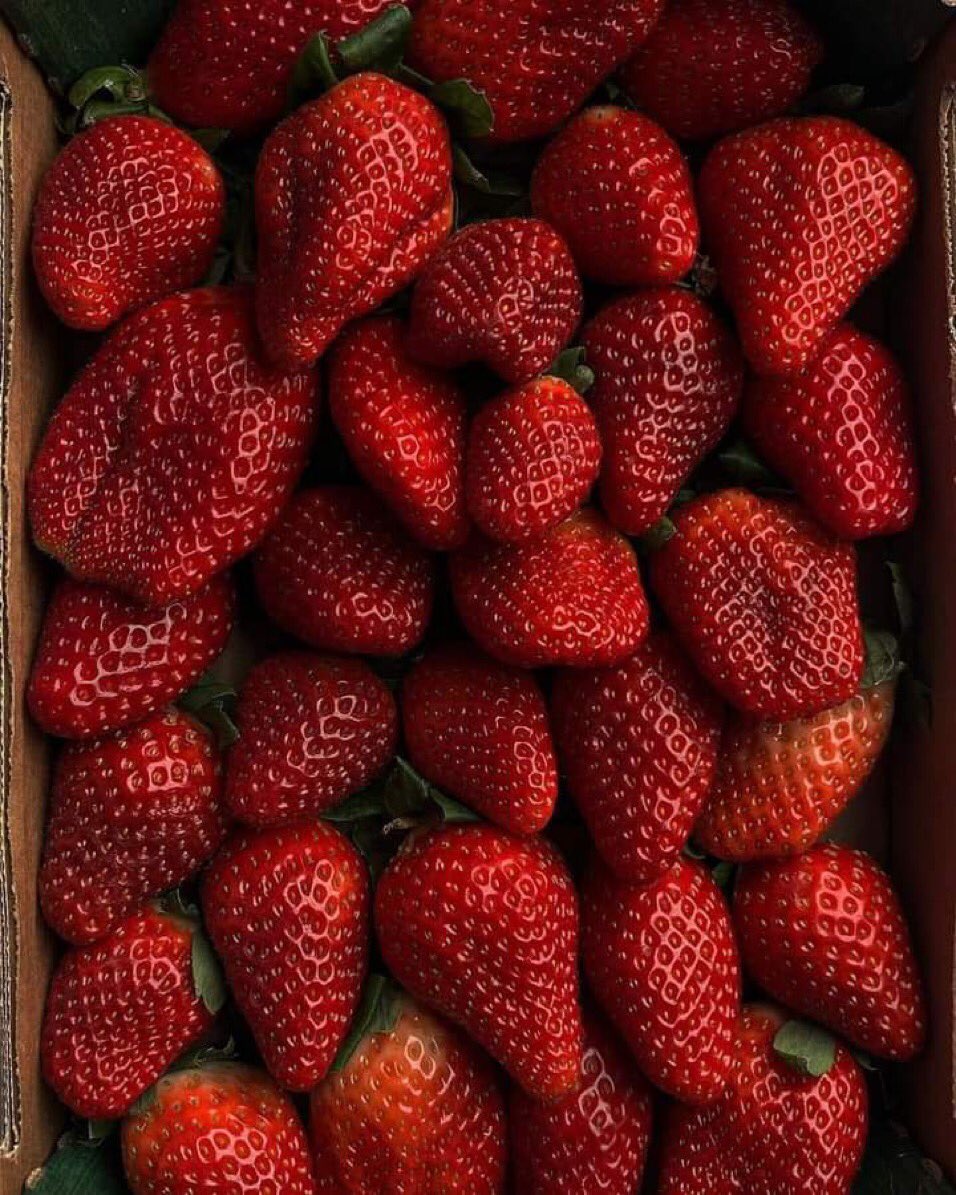 aesth_berry's tweet photo. Assalam o alaekum❤️🌸
Good morning ⭐️⭐️💜 https://t.co/UbyFEwHqva