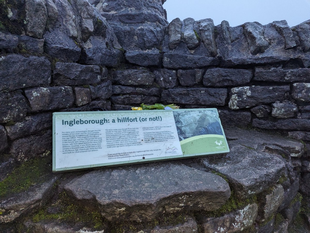 BEARlyplaying's tweet image. One down! £385 raised! Definitely getting some #DeathStranding vibes up here. #Yorkshire #3peaks
justgiving.com/page/gd24onthe…