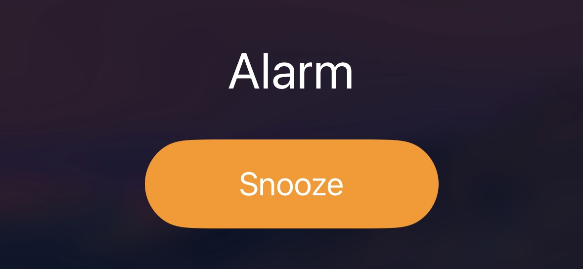 perrito a las 05:30 AM: tengo hambre

yo: