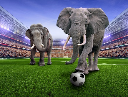 DE VOORDELEN VAN #4TURF:

⚽ Snelle vestiging en herstel minimaliseren onderhoud

🏌️ Stressvrij speelseizoen dankzij hoge #ziektetolerantie

💧 Duurzame keuze

🏃‍♂️ Meer speeluren en tevreden beheerders, spelers en fans!

Lees hier alles over 4turf 👇
tinyurl.com/b8a84tjh