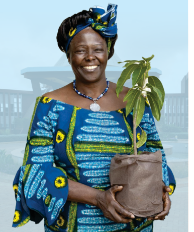 As we approach #WangariMaathaiDay & #AfricaEnvironmentDay on 3rd March 2024,Let's celebrate the rich tapestry of Africa's natural beauty and commit to safeguarding it for future generations. @uonbi #TimeToTakeAction #WeAreUoN @UoNWMI