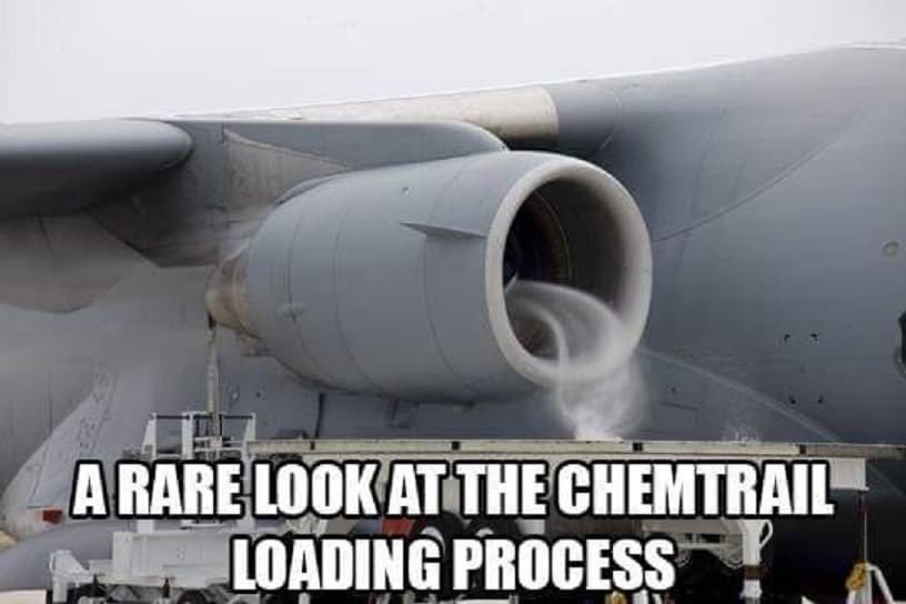 Virginie Sigonney 🇫🇷 tweet media