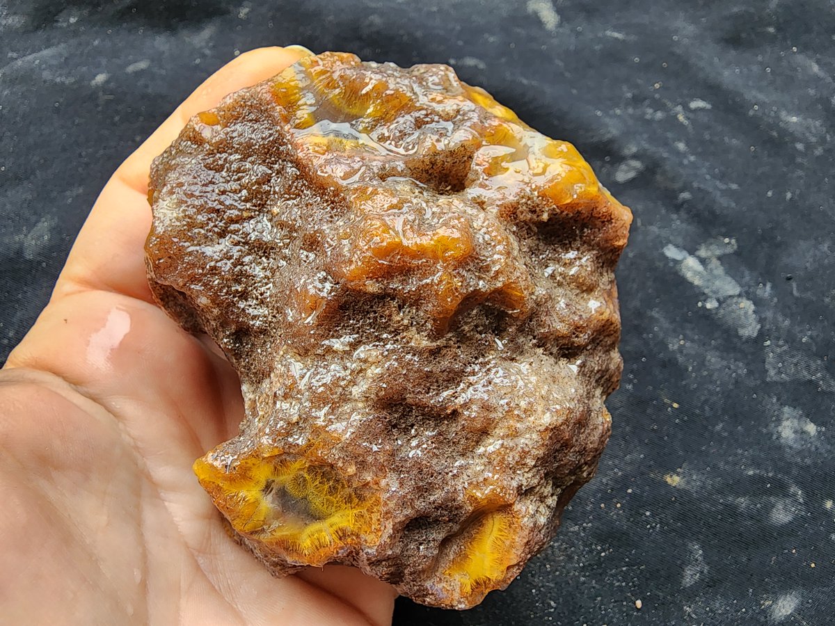 Sagenite & Banded & Botryoidal Agate Nodule
#sageniteagate #bandedagate #botryoidalagate #crystals #Collectibles #Collectible #rocks #geologyrocks #yellowstone #gemstones #minerals #metamorphic #Volcano