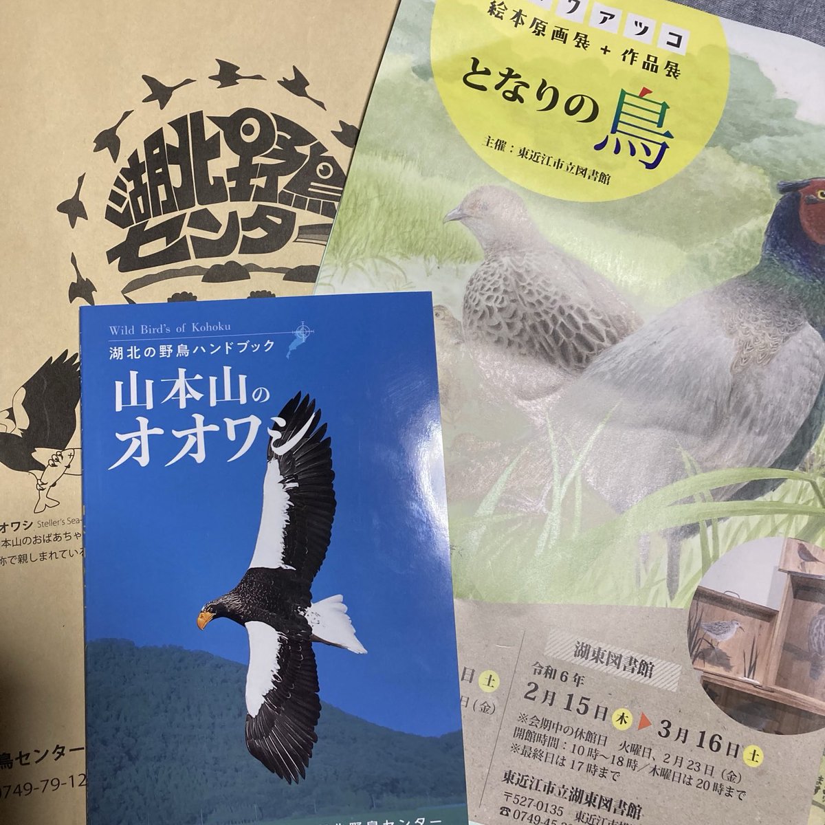 Wo9rS's tweet photo. 鳥のお出かけ。
湖北野鳥センターで、おばあちゃんの北帰を見送り✨湖東図書館へ。
ユカワさんの鳥たち原画にも出会えて✨嬉しい猫の月最終日。ありがとうございました😊 https://t.co/WyS1Tj7rrl