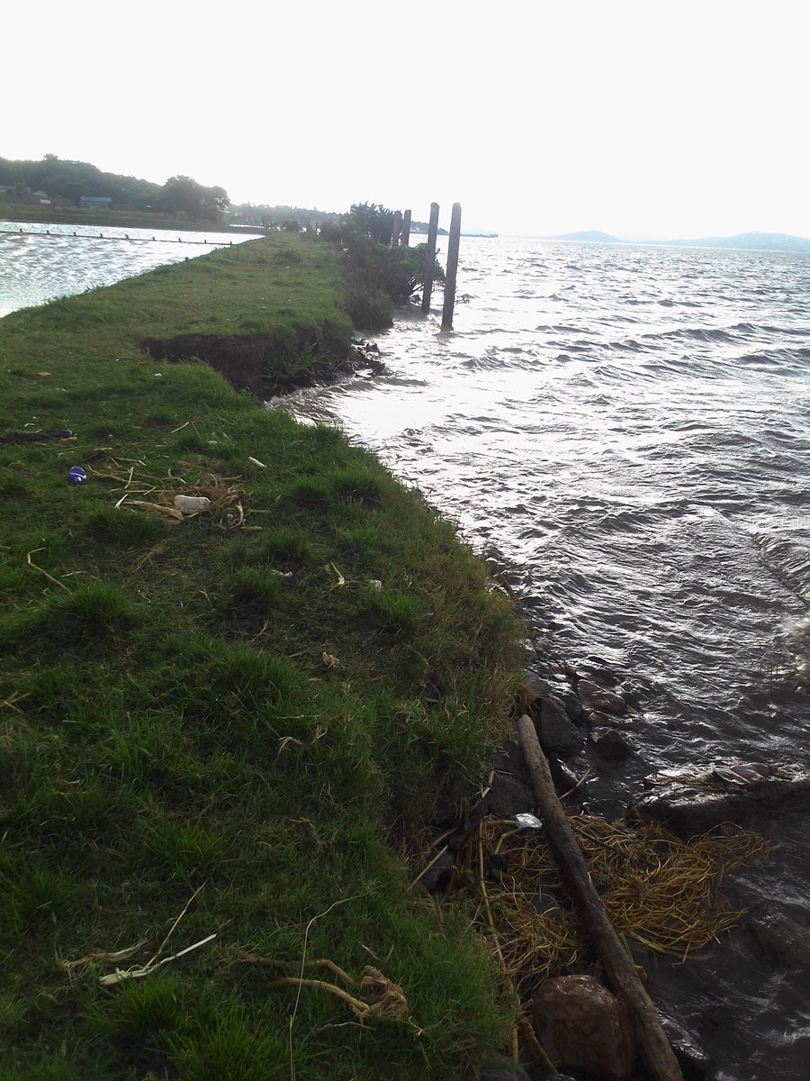 MinimiFlowersh2's tweet photo. Is this soil erosion, on the shoreline  and who knows how to stop it or slow down the process? https://t.co/mskVp4jAfi