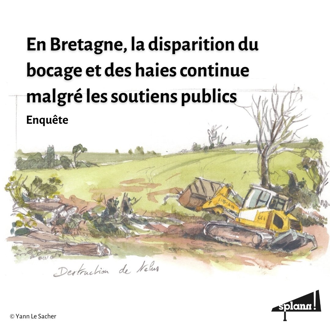 Le bocage breton est en mauvais état. D’importants arrachages de haies ont lieu dans des zones jusque-là préservées, en raison de l’agrandissement des fermes. 🚜 1/